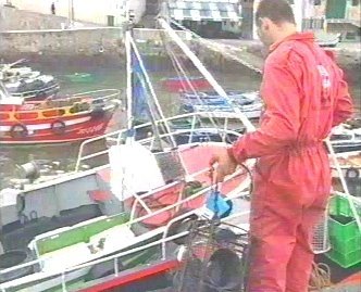 PESCA 17  GANADO